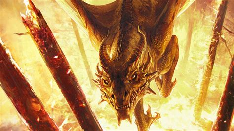 gwent patch|Patch Notes 11.5 .
